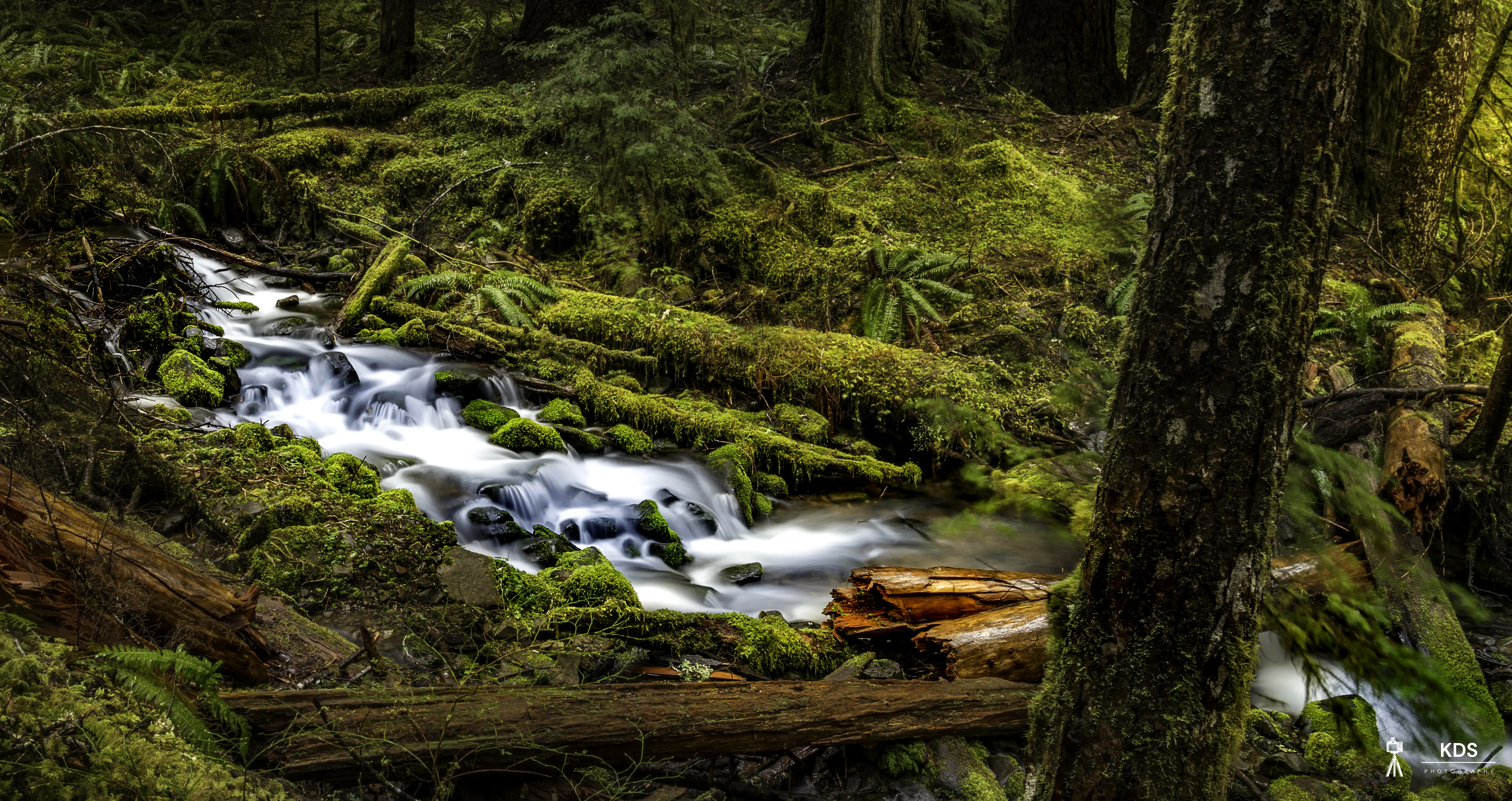 Sol Duc Stream